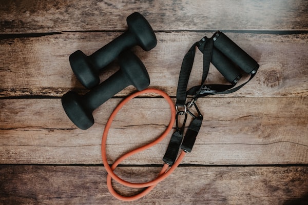 Adjustable Cast Iron Dumbbell Set (50 lbs with Storage Case)